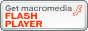 getFLASH